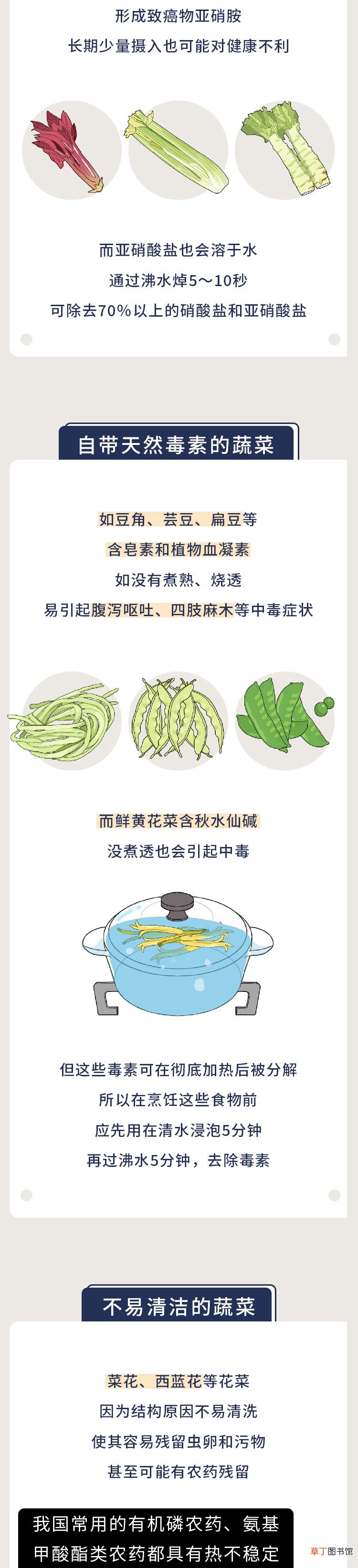 牢记：为了家人安全，6种食物一定要先焯水再吃，避免中毒