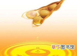 血脂高了该怎么调理-如何调理饮食可以降血脂
