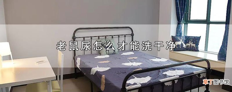老鼠尿怎么才能洗干净