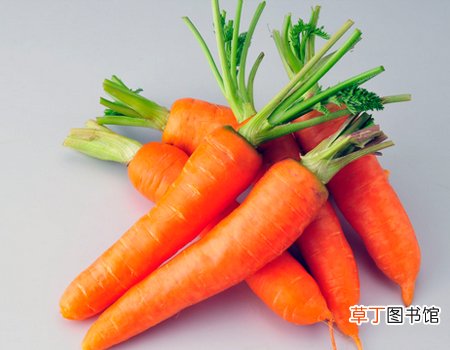掉头发吃什么食物能改善-这四类食物帮你远离掉发的苦恼