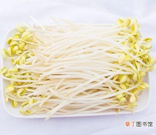 冬季吃什么蔬菜最好-适合冬季吃的6类蔬菜