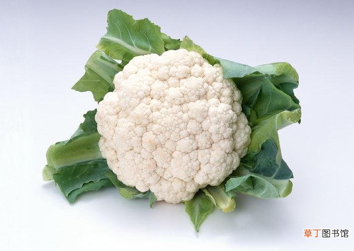 冬季吃什么蔬菜最好-适合冬季吃的6类蔬菜