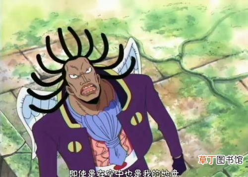猫和路由器的区别,看图你就明白了 猫和路由器的区别