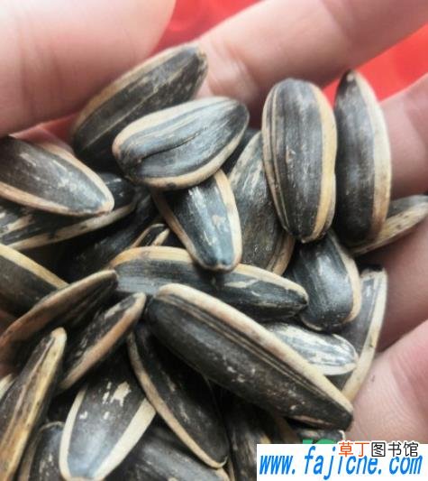 鬼牵手什么梗 鬼牵手是什么意思