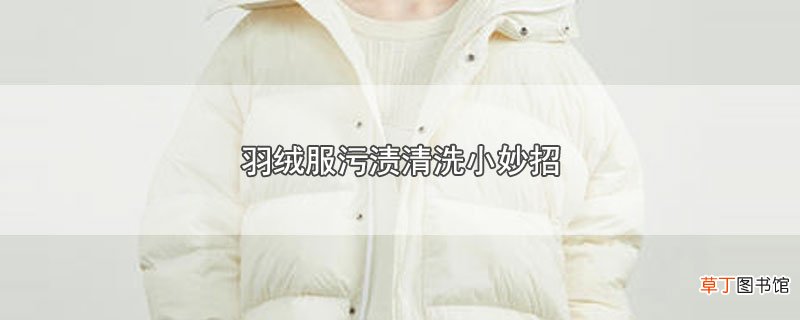羽绒服污渍清洗小妙招