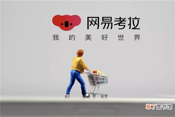 网易考拉怎么查真伪