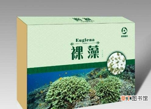 裸藻的功效与作用