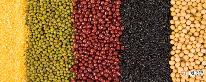脂溢性脱发食疗方法 脂溢性脱发应该吃什么