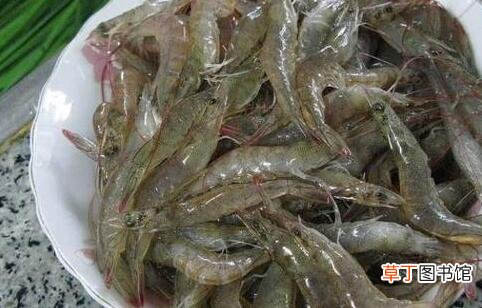 海虾和河虾有哪些区别