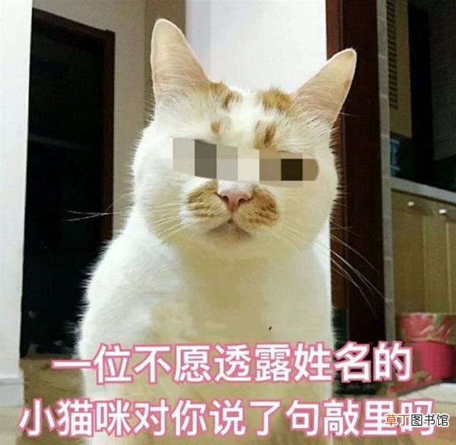 如何刷新表格数据 如何刷新bios