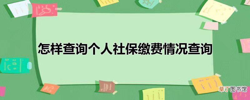怎样查询个人社保缴费情况查询