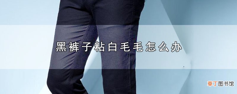 黑裤子粘白毛毛怎么办
