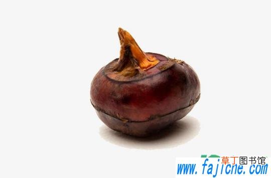 荸荠用盐水泡完生吃会有问题吗 荸荠用盐水泡能杀死寄生虫吗