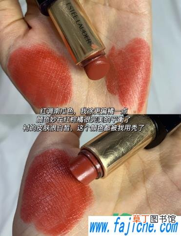 雅诗兰黛557和333区别对比试色 雅诗兰黛557和333哪个好看