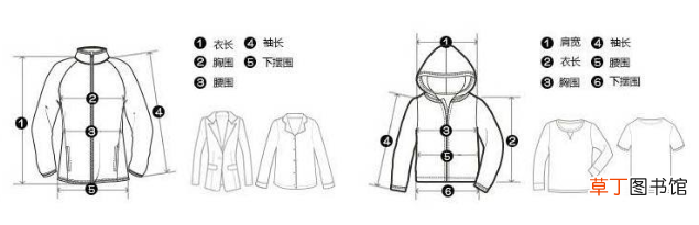服装尺码表女