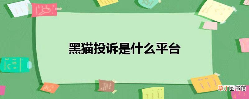 黑猫投诉是什么平台