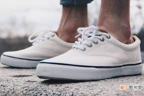 匡威和vans同码吗