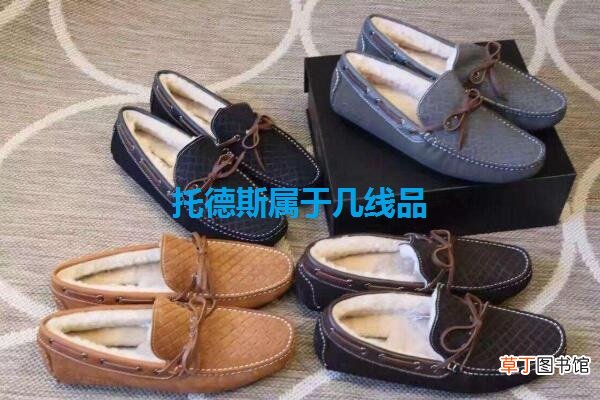 托德斯属于几线品牌