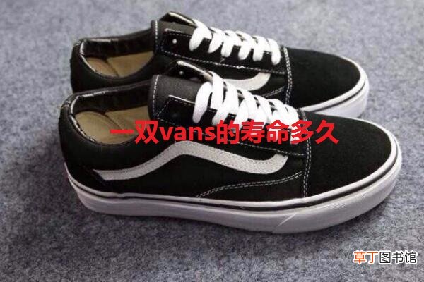 一双vans的寿命多久