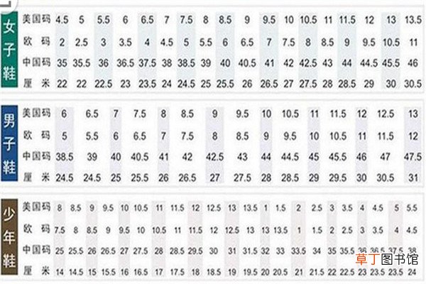 us9.5码是多大