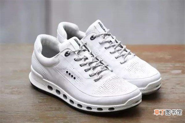 Ecco怎么读