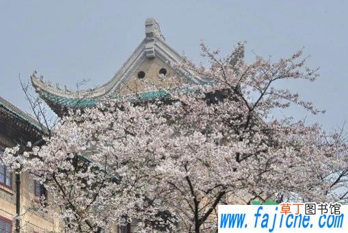 2021武大樱花还能进去看吗 2021年武大樱花节会取消吗