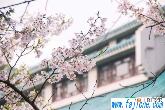 2021武大樱花还能进去看吗 2021年武大樱花节会取消吗