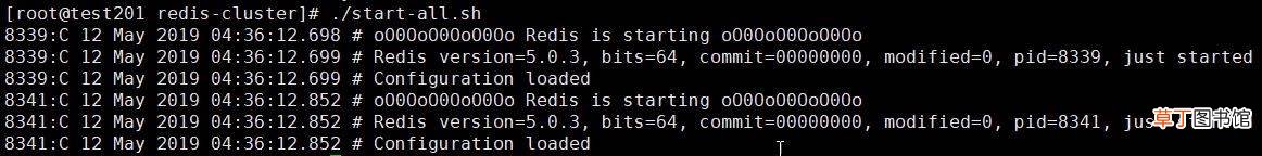 Cluster 集群搭建你会吗 Redis