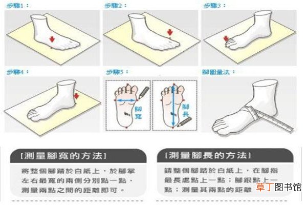 us12是多大的码数