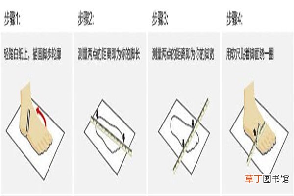 us12是多大的码数
