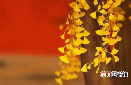 2021年立秋之后还要再热多少天?立秋之后还有伏天吗?立秋之后就凉快了吗