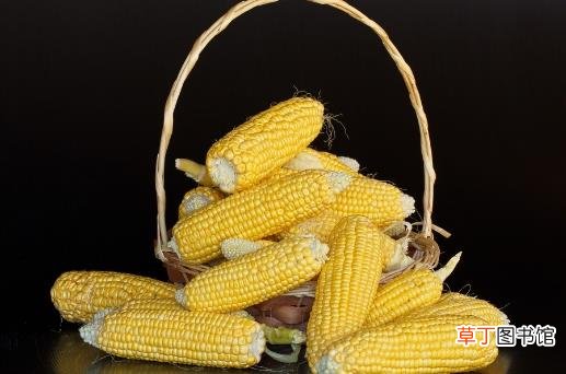 ?中老年人吃玉米益处多 玉米四功效大揭秘