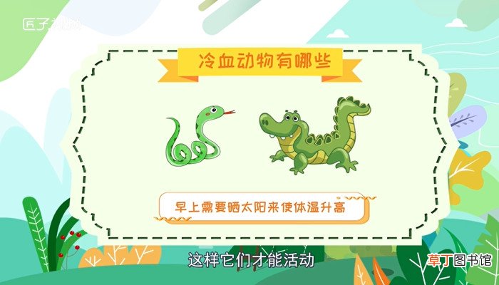 冷血动物有哪些