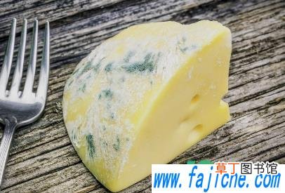 发霉的食物蒸熟了可以吃吗 为什么发霉的食物不能吃