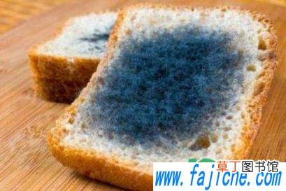 发霉的食物蒸熟了可以吃吗 为什么发霉的食物不能吃