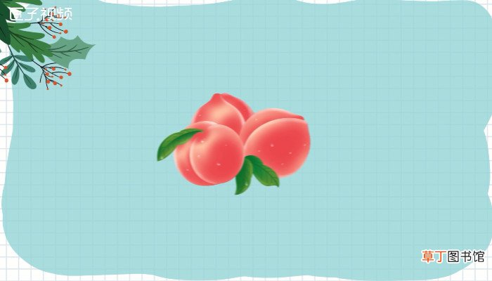 桃子含糖量高不高