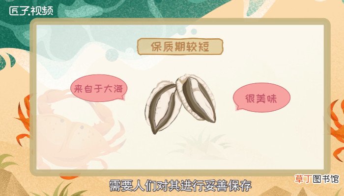 活鲍鱼如何冷冻保存