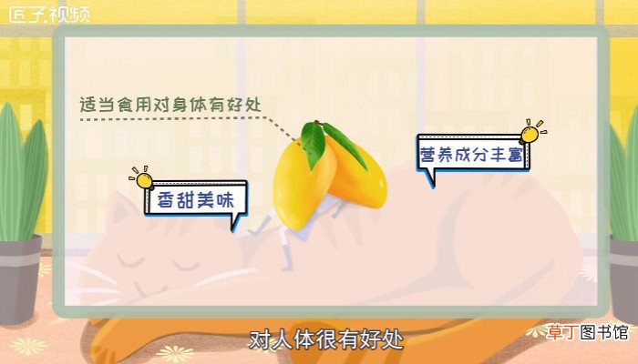 芒果怎么保存