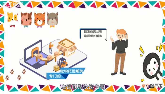 快递可以寄宠物吗