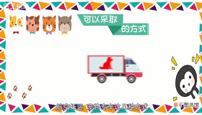 快递可以寄宠物吗