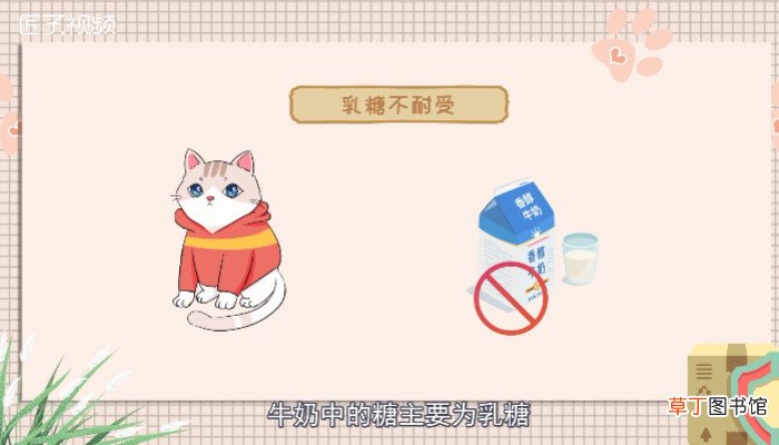 猫能不能喝牛奶