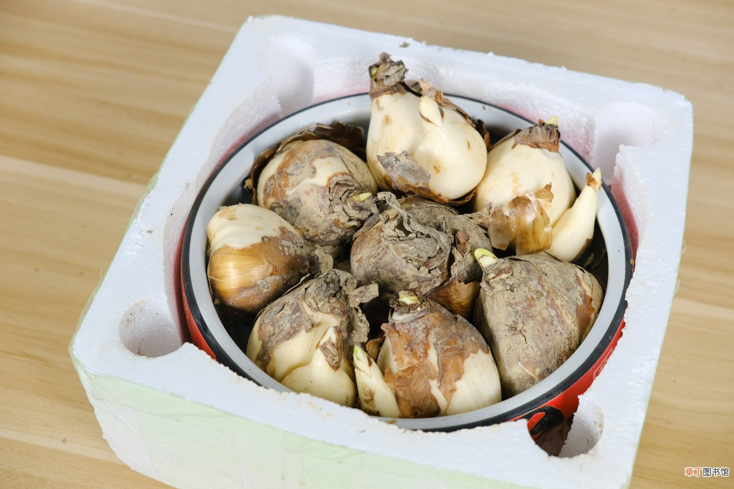 新买的水仙花怎么养