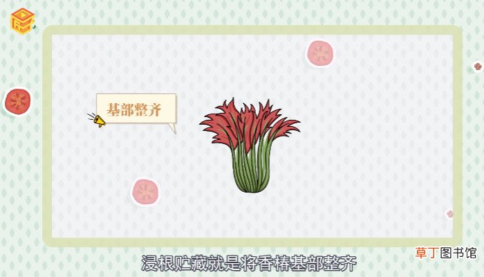 新鲜香椿芽如何保存
