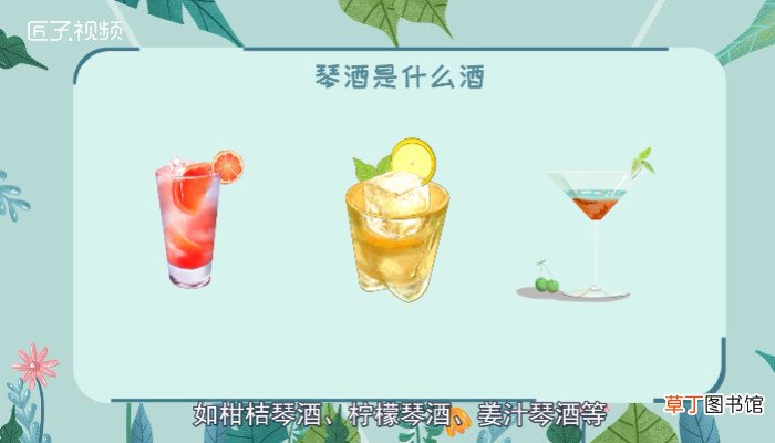 琴酒是什么酒
