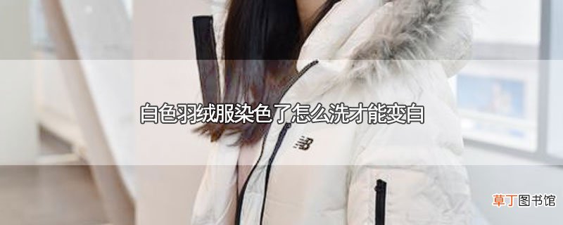 白色羽绒服染色了怎么洗才能变白