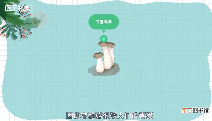 杏鲍菇不焯水有毒吗
