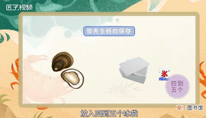 生蚝怎么保存