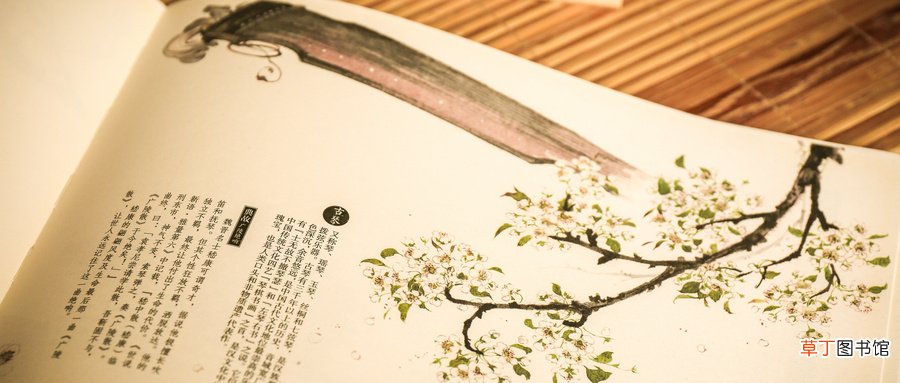 可圈可点的意思