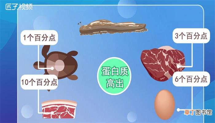 蛞蝓有毒吗