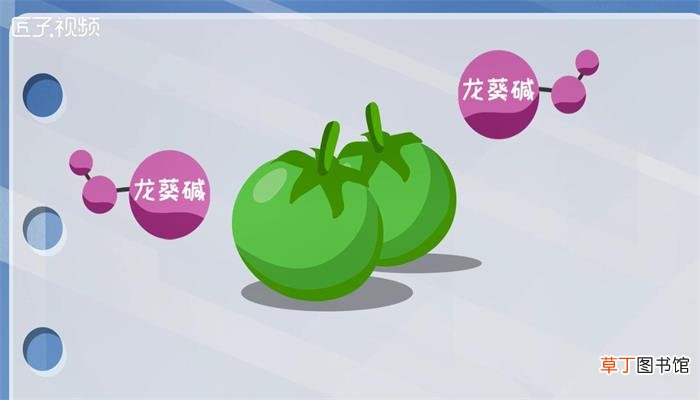 没熟的西红柿能吃吗